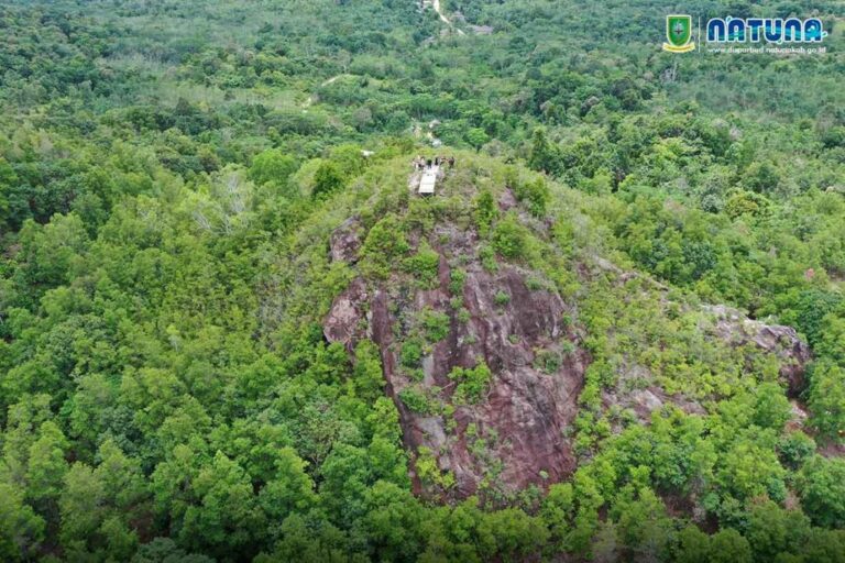 Read more about the article Tim Geopark Survey Potensi Geologi di Bunguran Tengah