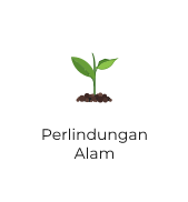 New Project